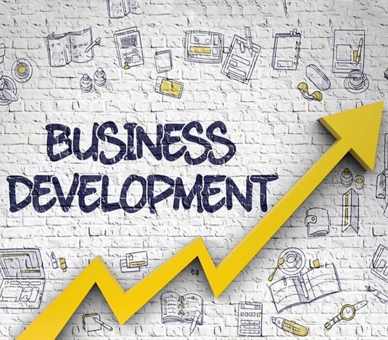 Business Developement in India